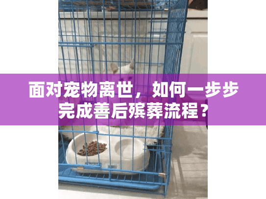 面对宠物离世,如何一步步完成善后殡葬流程? 面对宠物离世,如何一步步完成善后殡葬流程?