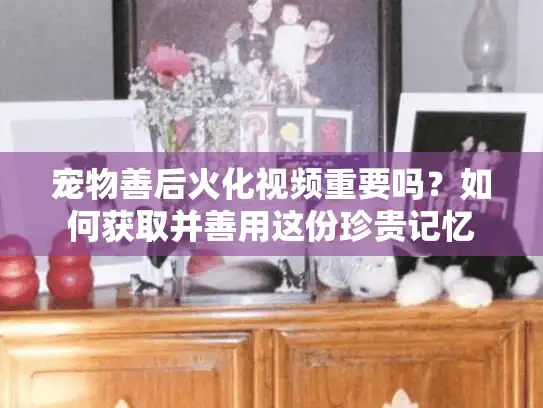 宠物善后火化视频重要吗？如何获取并善用这份珍贵记忆