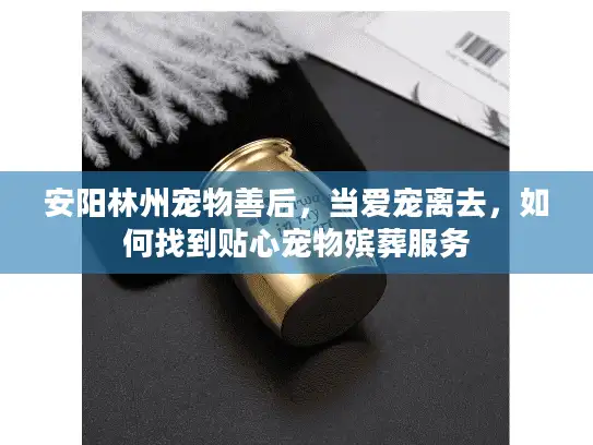 安阳林州宠物善后，当爱宠离去，如何找到贴心宠物殡葬服务