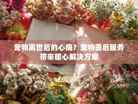 宠物离世后的心痛?宠物善后服务带来暖心解决方案 宠物离世后的心痛?宠物善后服务带来暖心解决方案