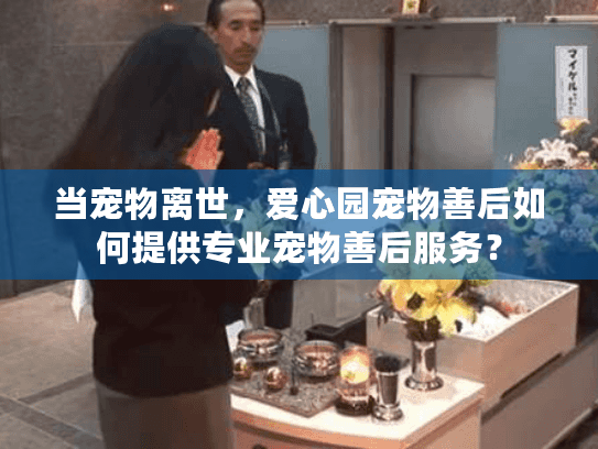 当宠物离世，爱心园宠物善后如何提供专业宠物善后服务？