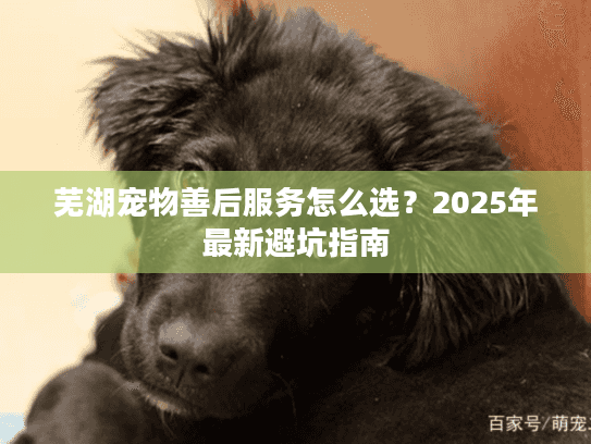 芜湖宠物善后服务怎么选？2025年最新避坑指南