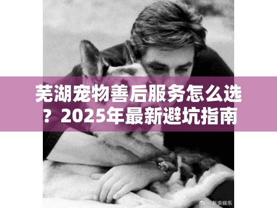 芜湖宠物善后服务怎么选？2025年最新避坑指南