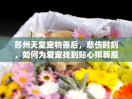 苏州天堂宠物善后，悲伤时刻，如何为爱宠找到贴心殡葬服务？