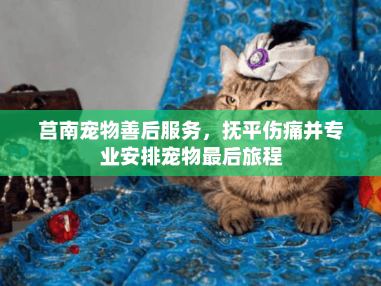莒南宠物善后服务，抚平伤痛并专业安排宠物最后旅程