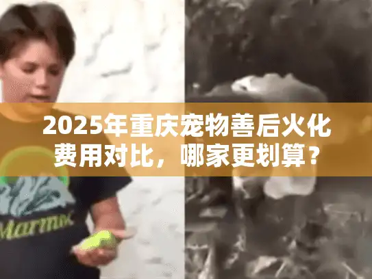 2025年重庆宠物善后火化费用对比,哪家更划算? 2025年重庆宠物善后火化费用对比,哪家更划算?