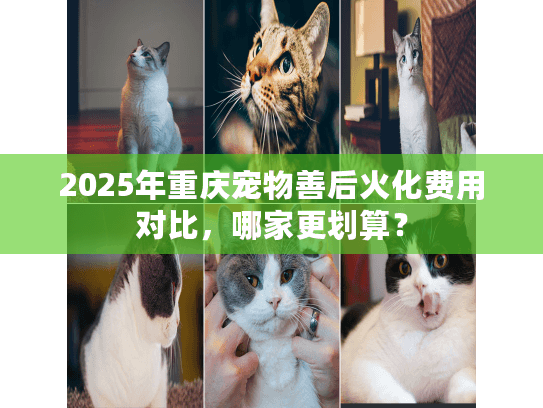 2025年重庆宠物善后火化费用对比,哪家更划算? 2025年重庆宠物善后火化费用对比,哪家更划算?