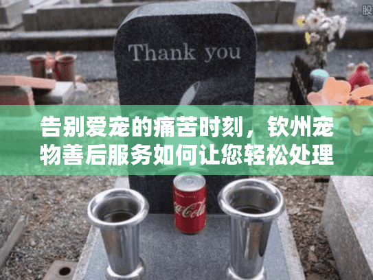 告别爱宠的痛苦时刻，钦州宠物善后服务如何让您轻松处理？