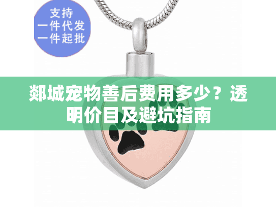 郯城宠物善后费用多少?透明价目及避坑指南 郯城宠物善后费用多少?透明价目及避坑指南