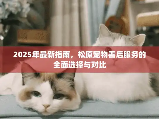 2025年最新指南，松原宠物善后服务的全面选择与对比
