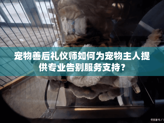 宠物善后礼仪师如何为宠物主人提供专业告别服务支持？