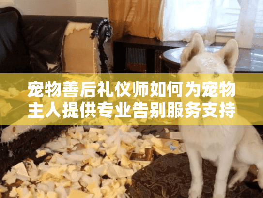 宠物善后礼仪师如何为宠物主人提供专业告别服务支持？