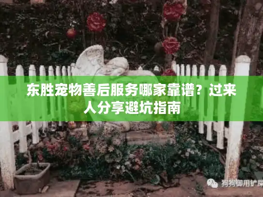 东胜宠物善后服务哪家靠谱？过来人分享避坑指南