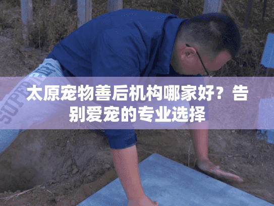 太原宠物善后机构哪家好？告别爱宠的专业选择