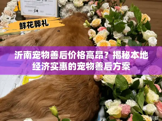 沂南宠物善后价格高昂？揭秘本地经济实惠的宠物善后方案