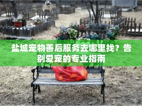 盐城宠物善后服务去哪里找？告别爱宠的专业指南