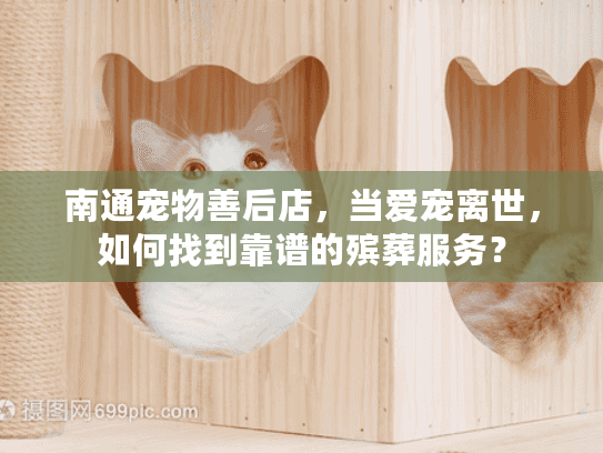 南通宠物善后店，当爱宠离世，如何找到靠谱的殡葬服务？