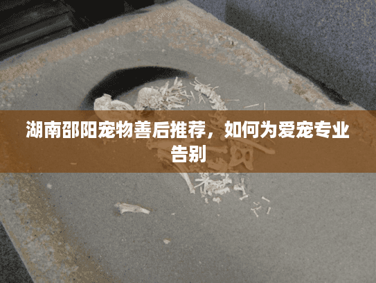 湖南邵阳宠物善后推荐，如何为爱宠专业告别