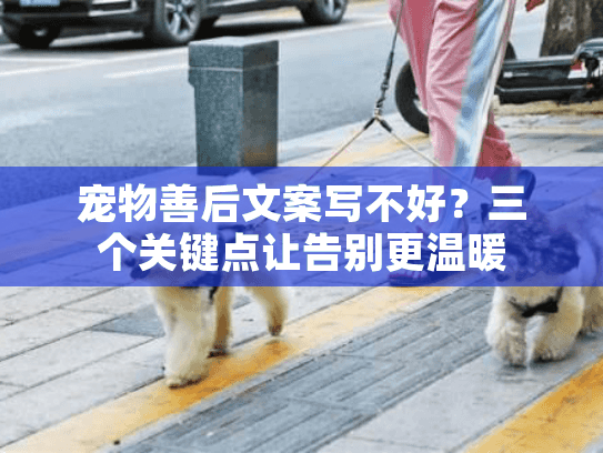 宠物善后文案写不好？三个关键点让告别更温暖
