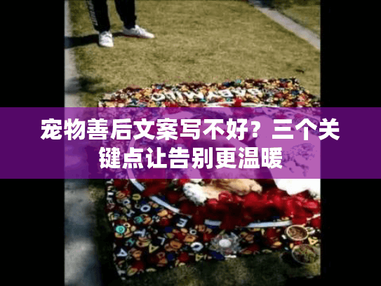 宠物善后文案写不好？三个关键点让告别更温暖