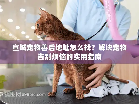 宣城宠物善后地址怎么找？解决宠物告别烦恼的实用指南