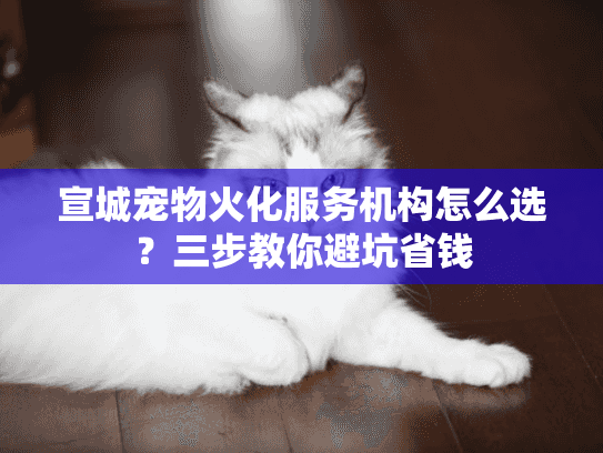 宣城宠物火化服务机构怎么选？三步教你避坑省钱