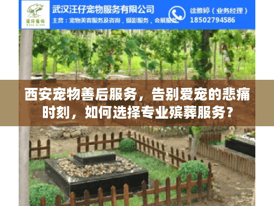 西安宠物善后服务，告别爱宠的悲痛时刻，如何选择专业殡葬服务？