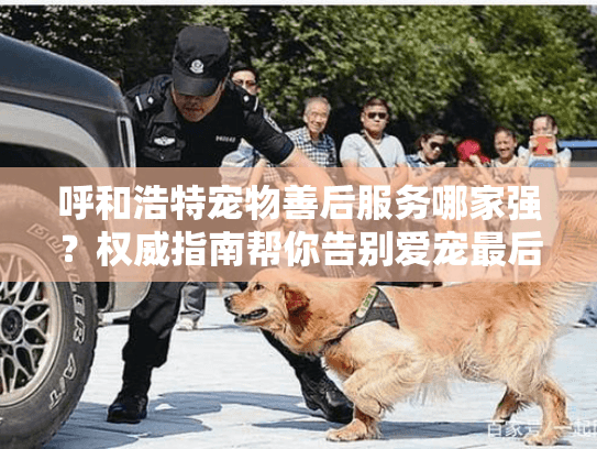 呼和浩特宠物善后服务哪家强?权威指南帮你告别爱宠最后一程 呼和浩特宠物善后服务哪家强?权威指南帮你告别爱宠最后一程