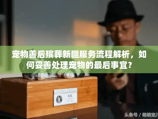 宠物善后殡葬新疆服务流程解析，如何妥善处理宠物的最后事宜？