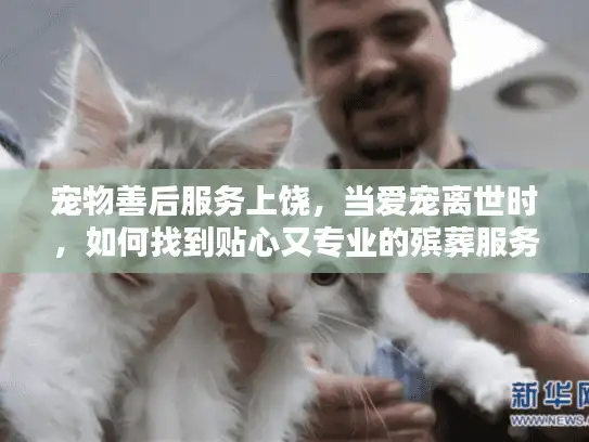 宠物善后服务上饶，当爱宠离世时，如何找到贴心又专业的殡葬服务？