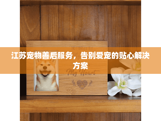 江苏宠物善后服务,告别爱宠的贴心解决方案 江苏宠物善后服务,告别爱宠的贴心解决方案