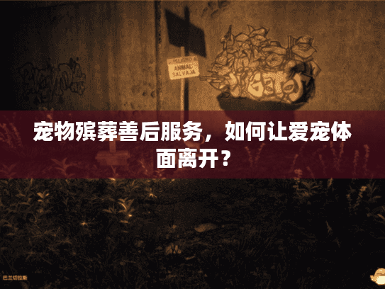 宠物殡葬善后服务，如何让爱宠体面离开？