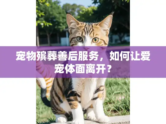 宠物殡葬善后服务，如何让爱宠体面离开？