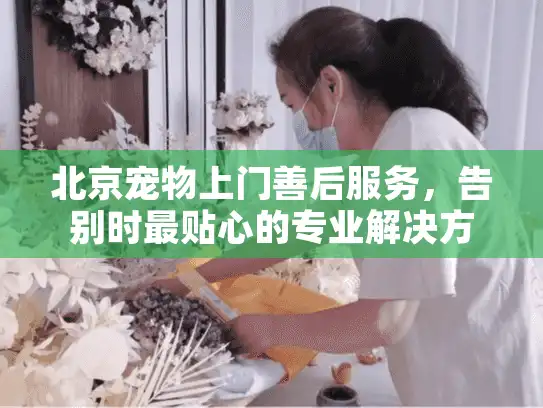 北京宠物上门善后服务，告别时最贴心的专业解决方案