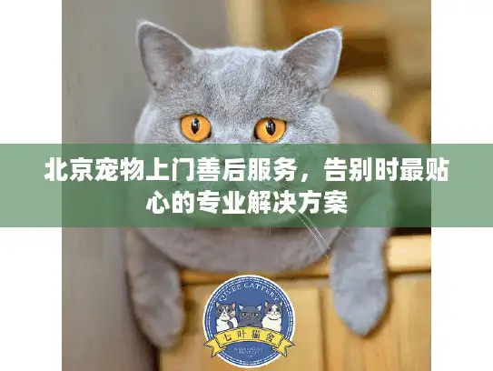 北京宠物上门善后服务，告别时最贴心的专业解决方案
