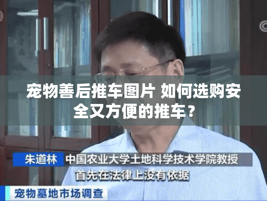 宠物善后推车图片 如何选购安全又方便的推车？