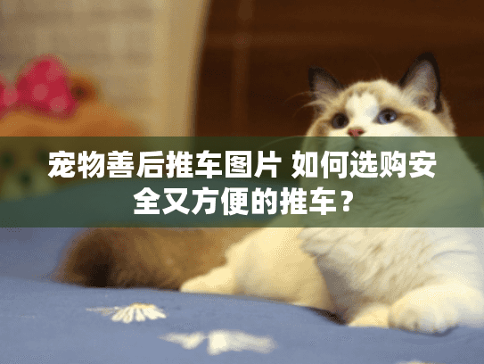 宠物善后推车图片 如何选购安全又方便的推车？