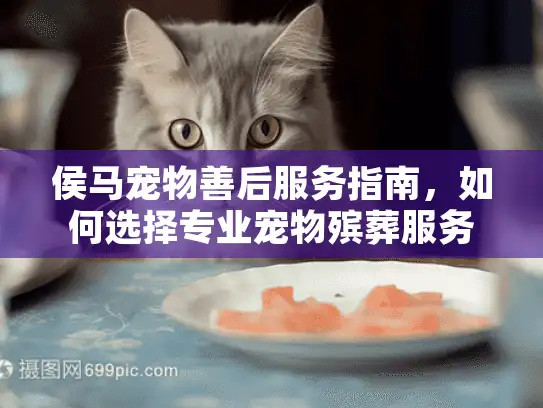 侯马宠物善后服务指南,如何选择专业宠物殡葬服务? 侯马宠物善后服务指南,如何选择专业宠物殡葬服务?