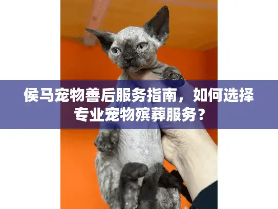 侯马宠物善后服务指南,如何选择专业宠物殡葬服务? 侯马宠物善后服务指南,如何选择专业宠物殡葬服务?