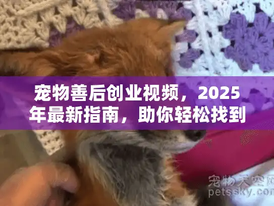 宠物善后创业视频,2025年最新指南,助你轻松找到专业宠物殡葬服务 宠物善后创业视频,2025年最新指南,助你轻松找到专业宠物殡葬服务