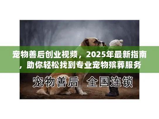宠物善后创业视频,2025年最新指南,助你轻松找到专业宠物殡葬服务 宠物善后创业视频,2025年最新指南,助你轻松找到专业宠物殡葬服务