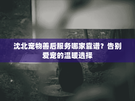 沈北宠物善后服务哪家靠谱？告别爱宠的温暖选择