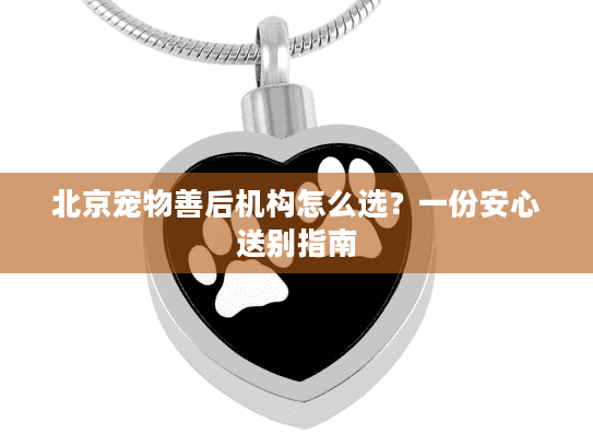 北京宠物善后机构怎么选？一份安心送别指南