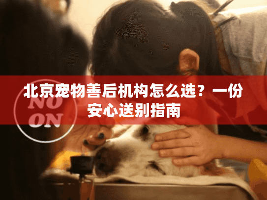 北京宠物善后机构怎么选？一份安心送别指南