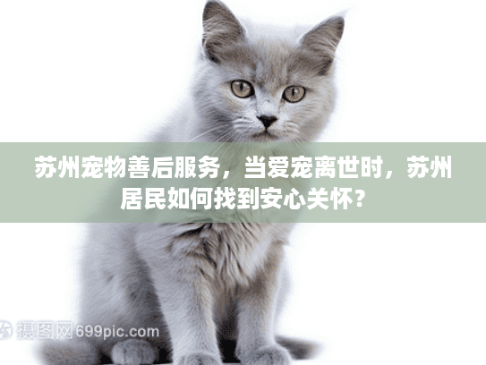 苏州宠物善后服务，当爱宠离世时，苏州居民如何找到安心关怀？