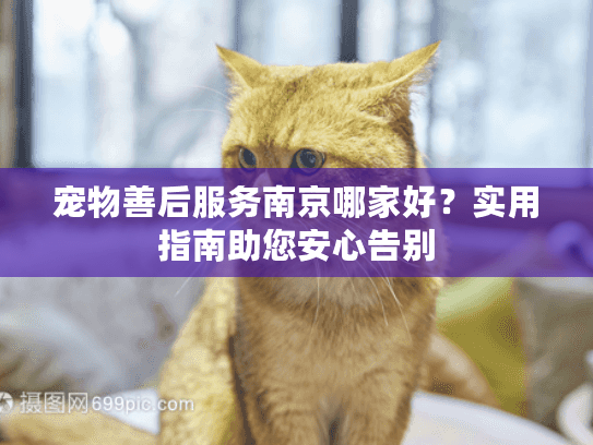 宠物善后服务南京哪家好？实用指南助您安心告别