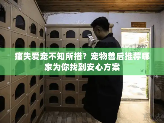 痛失爱宠不知所措?宠物善后推荐哪家为你找到安心方案 痛失爱宠不知所措?宠物善后推荐哪家为你找到安心方案