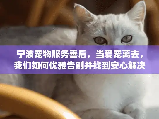 宁波宠物服务善后，当爱宠离去，我们如何优雅告别并找到安心解决方案
