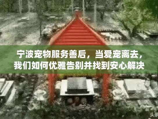 宁波宠物服务善后，当爱宠离去，我们如何优雅告别并找到安心解决方案