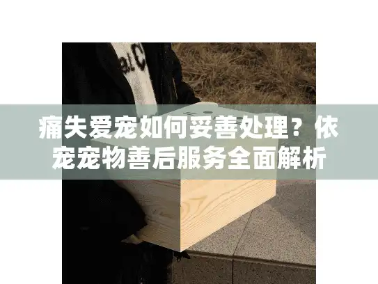 痛失爱宠如何妥善处理？依宠宠物善后服务全面解析